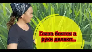 #Глаза боятся ,руки делают....