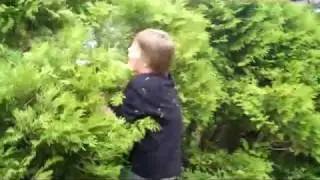 Rocky trailer parody