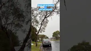 Sydney is soaking with this bomb rain   , stay safe #sydney #weather #rainyday #subscribe