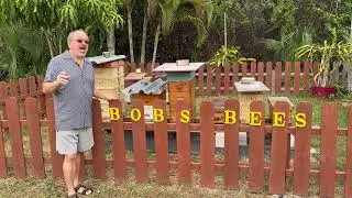 Bob's Bee Farm Visitor