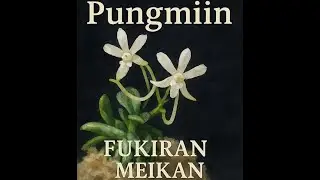 Fukiran Meikan Introduction