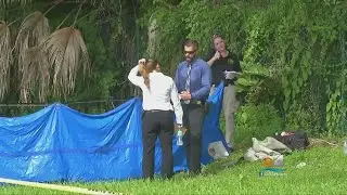 Woman's Body Found Floating In Pompano Beach Canal