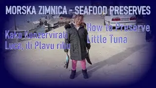 How to preserve fish, little tuna and other species
