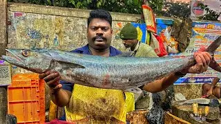 KASIMEDU SPEED SELVAM | HUGE LIVE KING SEER FISH CUTTING VIDEO | 4K VIDEO | KM FISH CUTTING