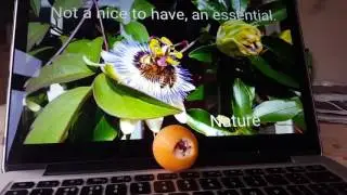 Nature essentials