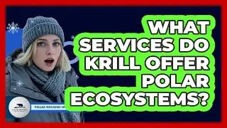 What Services Do Krill Offer Polar Ecosystems? - Polar Regions Uncovered