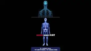 Why You Get Leg Pain at Night | Hidden Causes You Shouldn&rsquo;t Ignore! #legpain