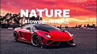 Nature song || slowed reverb #lofimusic 
