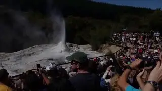 Lady Knox Geysir in New Zealand