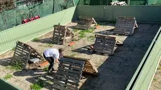 A tour of the new lizard enclosures and tubs
