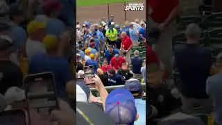Cubs fan arrested at NLDS Game 1 after alleged Assault on 10-year-old kid #shorts