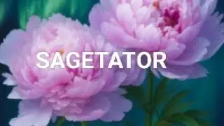 ✨ SAGETATOR ✨APAR FINANTE,AJUTOR IN ENERGIA BANILOR, ABUNDENTA ✨#tarot #sagetator 