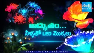 Glow Plants Technology | Plants That Shine in the Dark | Science Facts @SakshiTV