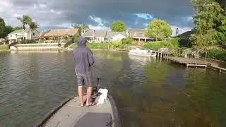 Post Spawn popper action, STIX #3