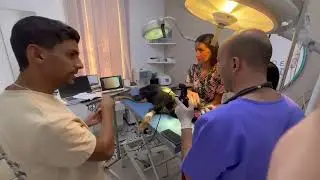 Dog gastroscopy by EC 250H