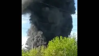 A fire broke out near the Central Aerohydrodynamic Institute in Zhukovsky Moscow Region