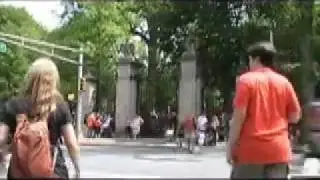 P-Rade 2010