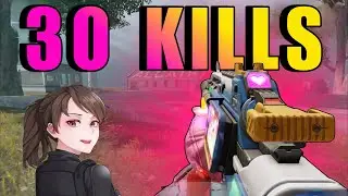 HVK is so BROKEN in Battle Royale (Gunsmith)