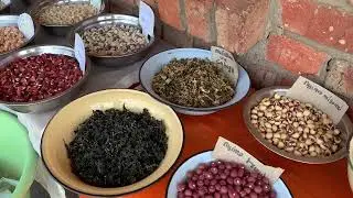 Goromonzi Traditional Seed & Organic food Festival 2022