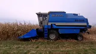 ☆Koszenie kukurydzy w grudniu ☆Bizon BS Z110☆Odmiana Lokata☆
