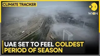 UAE Weather | Experts: Middle Third of January will be the Coldest Stretch | WION CLIMATE TRACKER