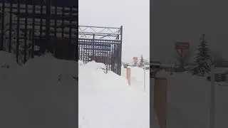 #free #snow #in #winter #alberta #canada