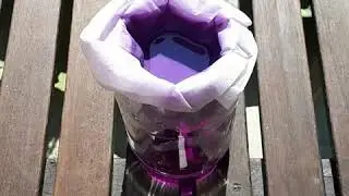 How to make lake pigment from elderberry dye