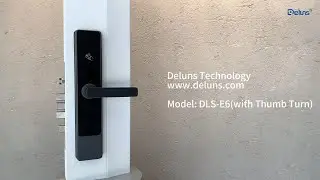 Why Choose a Smart Hotel Door Lock? Secure & Convenient Access Deluns DLS-E6 with Thumb Turn