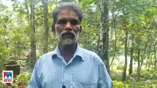 പുലിപ്പേടിയില്&zwj; പത്തനംതിട്ട കൂടല്&zwj;; കൂട് സ്ഥാപിക്കാന്&zwj; വനംവകുപ്പ്|  Pathanamthitta Tiger