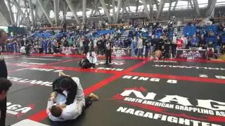 Matt Allen naga 2016