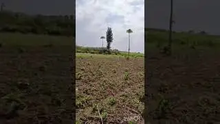 KBS Real Estate ibazaniye Imari iri Mubugesera hectare hafi 3 Mwaduhamagara kuri 0783494396
