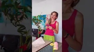 Feng Shui, plants and energy! How to properly care for your plants. #fengshui #fengshuitips #bamboo