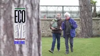 Natural Lawn Care Tips with Peter Dowdall