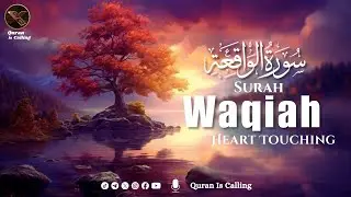 Most soothing recitation of Surah Waqiah | سورة الواقعة | Quran is Calling