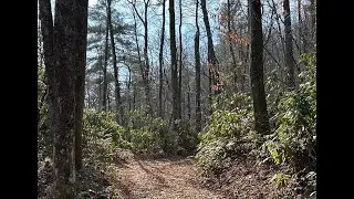Bee Cove Falls