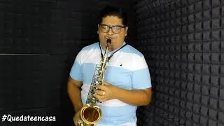 Color y Esperanza - Diego Torres / Cover NANDO SAX