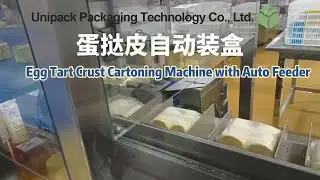 Automatic Egg Tart Shell Cartoning Machine with Auto-Feeding System