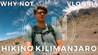 Mind blowing (+brain exploding) Kilimanjaro - Tanzania | WNVLOG#14