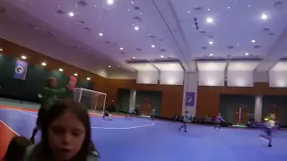 DV ACADEMY '06  FUTSAL NORTHEAST REGIONAL FINALS 2017