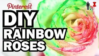 DIY Rainbow Roses - Man Vs. Pin #26