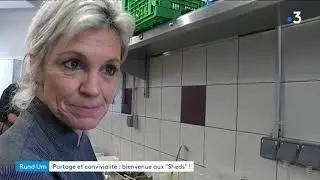 Un restaurant, une épicerie, un marché et un potager bios : Bienvenue aux Sheds de Kingersheim