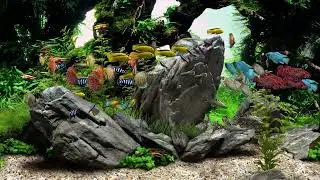 Dream Aquarium - 2 Hours - Coral Reef Aquarium Fish Tank with Water Sound  (4K)
