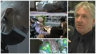 SchnappFisch - Gesichter der Stadtteile - Themen&uuml;berblick