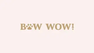 Bella Blvd Bow Wow Collection Overview