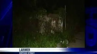4 Dogs Bite 2 People In Larimer