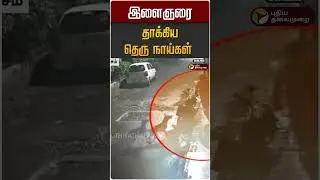 இளைஞரை தாக்கிய தெருநாய்கள் | Dog Bite | Uttarpradesh