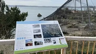 Torquay, Beacon Cove to Daddyhole Plain in 4K HDR
