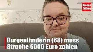 Burgenl&auml;nderin (68) muss Strache 6000 Euro zahlen | krone.tv NEWS