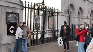 UNBELIEVABLE! You were warned, yet you still stand inside the box. #horseguards #buckinghampalace