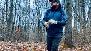 Building a bushcraft shelter in a tick infested forest